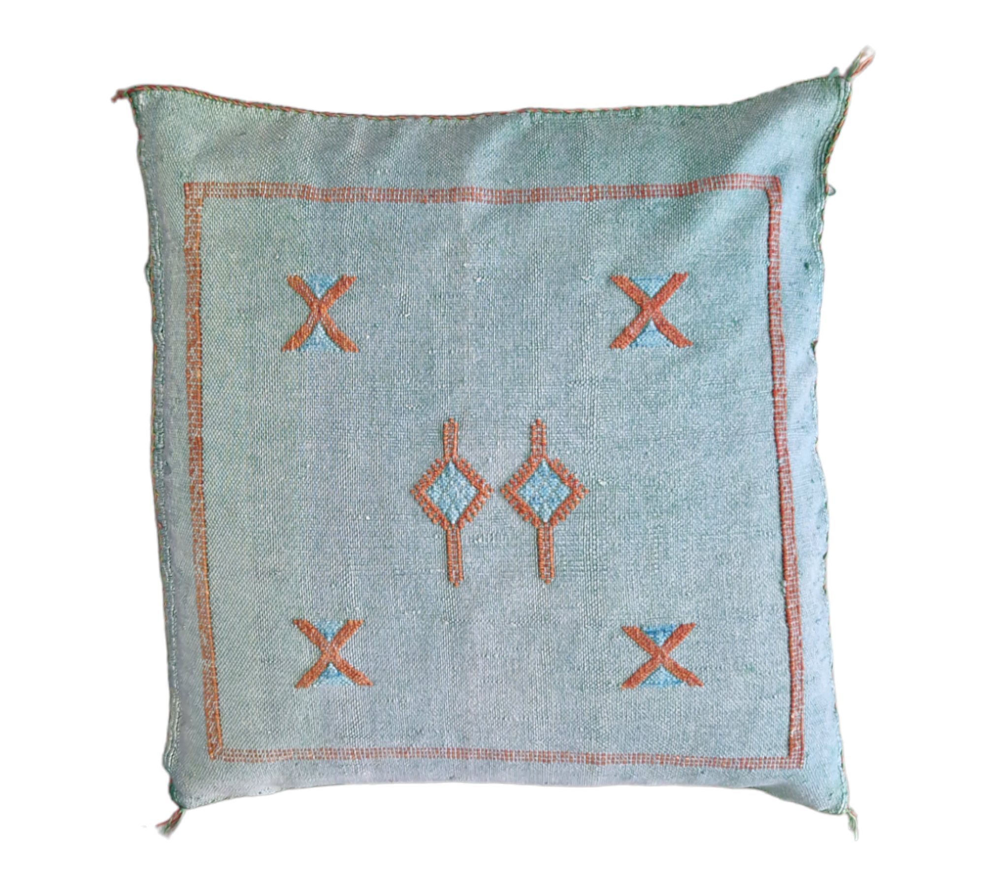 Handwoven Moroccan cactus Silk Pillow, 20x20 inch